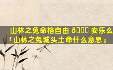山林之兔命格自由 🐘 安乐么「山林之兔城头土命什么意思」